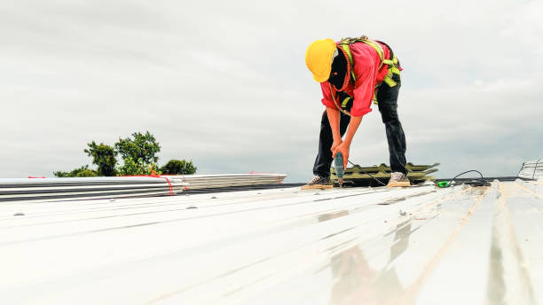 Best Chimney Flashing Repair  in Laurel Park, NC